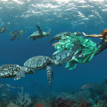Fotografía titulada "Turtles, Special Sa…" por Miss Aniela, Obra de arte original, Fotografía digital