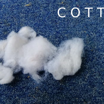 Painting titled "cotton.jpg" by Inpol, Original Artwork