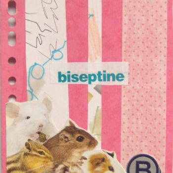Collages intitulée "Biseptine" par Missterre Apocalypse, Œuvre d'art originale, Découpages
