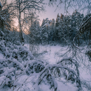 Fotografia intitulada "Winter" por Mikhail Kapychka, Obras de arte originais, Fotografia digital