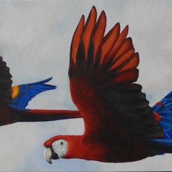 Malerei mit dem Titel "Scarlet Macaw Pair" von Marika Jaeger, Original-Kunstwerk, Acryl