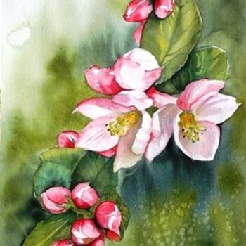 Painting titled "Fleurs de Pommier" by Marie-Jeanne Bronzini, Original Artwork, Watercolor