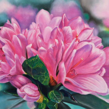 Painting titled "Rhododendrons" by Marie-Jeanne Fawer, Original Artwork, Pastel