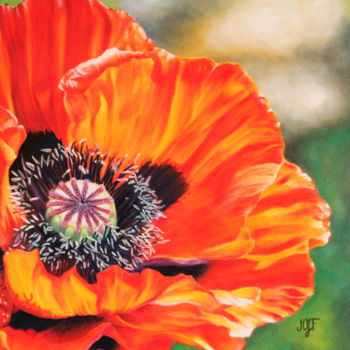 Schilderij getiteld "Coquelicot" door Marie-Jeanne Fawer, Origineel Kunstwerk, Pastel