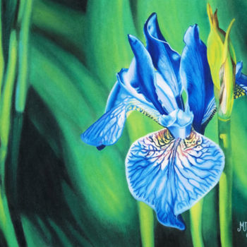 Painting titled "Iris" by Marie-Jeanne Fawer, Original Artwork, Pastel