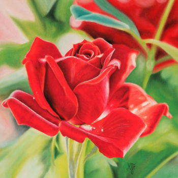 Malarstwo zatytułowany „Rose rouge” autorstwa Marie-Jeanne Fawer, Oryginalna praca, Pastel