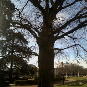 Photographie intitulée "Arbre nature" par Marie-Louise Trichet, Œuvre d'art originale, Photographie non manipulée