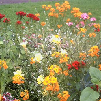 Photographie intitulée "Fleurs et Jardins" par Marie-Louise Trichet, Œuvre d'art originale, Photographie non manipulée