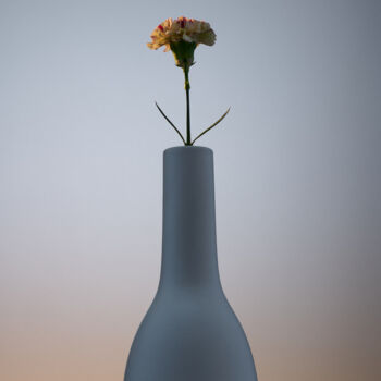 Photographie intitulée "A captured flower" par Mmiri, Œuvre d'art originale, Photographie numérique