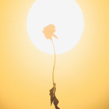 Photographie intitulée "Burned by the sun" par Mmiri, Œuvre d'art originale, Photographie numérique