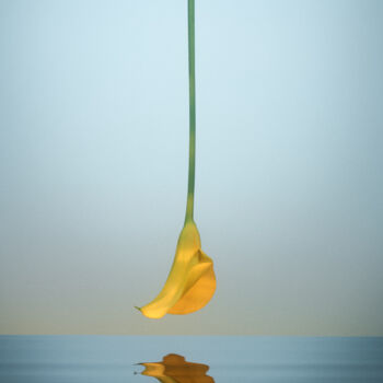 Photographie intitulée "Floating flower" par Mmiri, Œuvre d'art originale, Photographie numérique