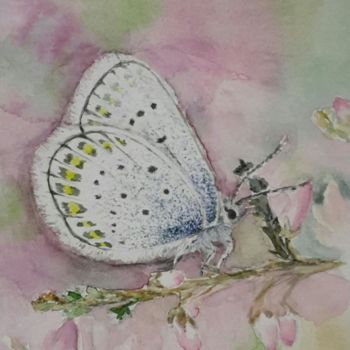 Ζωγραφική με τίτλο "the butterfly" από Fairytale.My98, Αυθεντικά έργα τέχνης, Ακουαρέλα