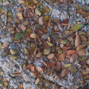 Photographie intitulée "Leaves fall" par Mohamad Hidayat, Œuvre d'art originale, Photographie numérique