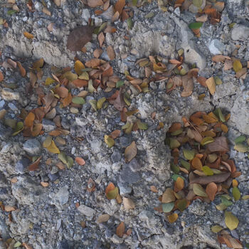 Fotografie getiteld "Leaves fall on the…" door Mohamad Hidayat, Origineel Kunstwerk, Digitale fotografie