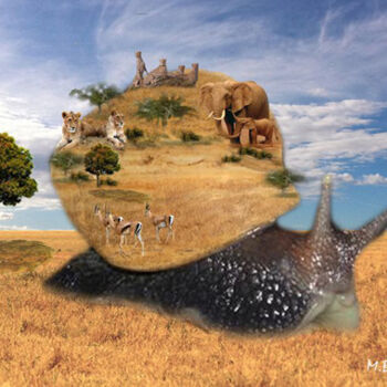 Digital Arts titled "La savane et l'ésca…" by Mohamed Berkane, Original Artwork