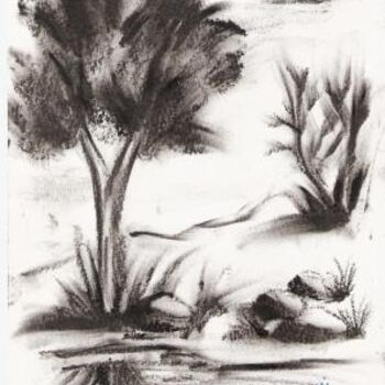 Desenho intitulada "dessin la natur" por Mohamed Chaairi, Obras de arte originais