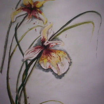 Painting titled "Iris" by Mohamed Srir, Original Artwork
