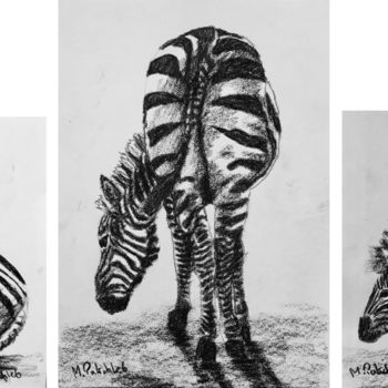 Drawing titled "Zebras Triptych" by M. Palichleb Art, Original Artwork, Charcoal