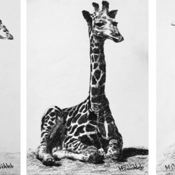 Dessin intitulée "Giraffes Triptych" par M. Palichleb Art, Œuvre d'art originale, Fusain