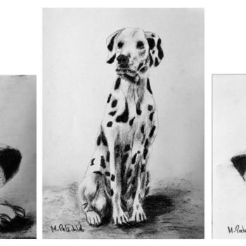 제목이 "Dalmatians Triptych"인 그림 M. Palichleb Art로, 원작, 숯