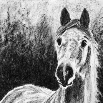 Rysunek zatytułowany „Horse” autorstwa M. Palichleb Art, Oryginalna praca, Węgiel drzewny