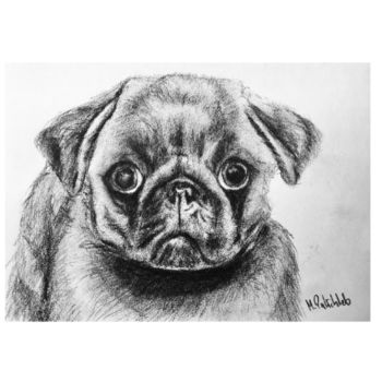 Drawing titled "Pugs Triptych" by M. Palichleb Art, Original Artwork, Charcoal
