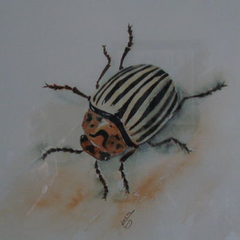 Painting titled "INSECTE 2" by Monique Darry, Original Artwork, Watercolor