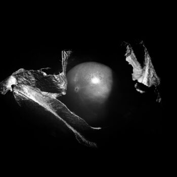 Photography titled "Physalis #1" by Monochrome Renditions, Original Artwork, Analog photography
