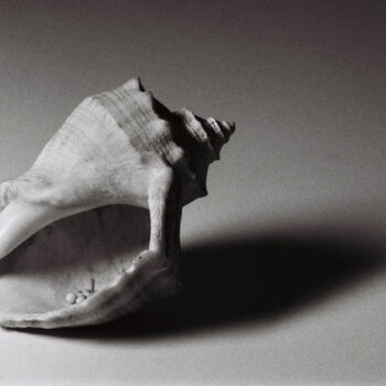 Fotografie getiteld "Seashell #1" door Monochrome Renditions, Origineel Kunstwerk, Film fotografie