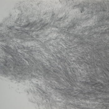 Drawing titled "Les Ailes du Temps 3" by Frédérique Montane, Original Artwork, Charcoal