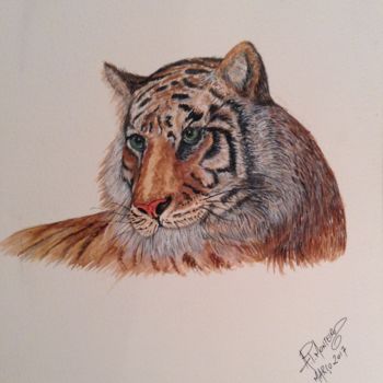 Painting titled "tiger" by Armindo Monteiro (Pedrosa), Original Artwork, Watercolor