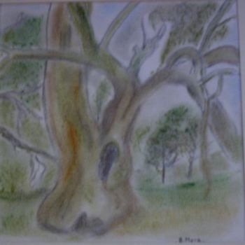 Painting titled "Eucalyptus" by Bernadette Mora, Original Artwork