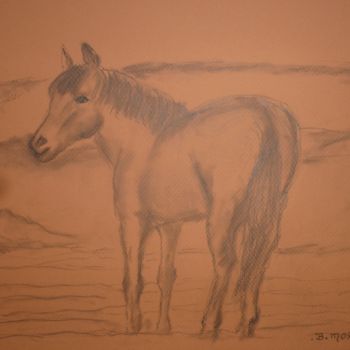 Drawing titled "chevalcrayon15.jpg" by Bernadette Mora, Original Artwork, Graphite