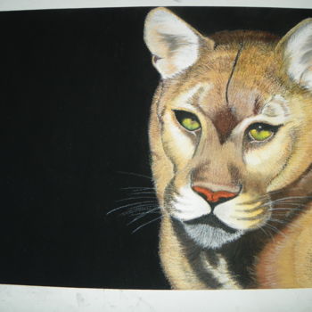 Drawing titled "Puma" by M. Olivier, Original Artwork, Pastel