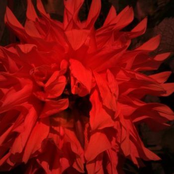 Arts numériques intitulée "Fleur rouge 2" par Morganv6, Œuvre d'art originale