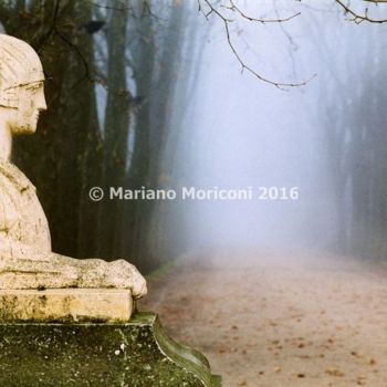 Photography titled "img6783.jpg" by Mariano Moriconi, Original Artwork