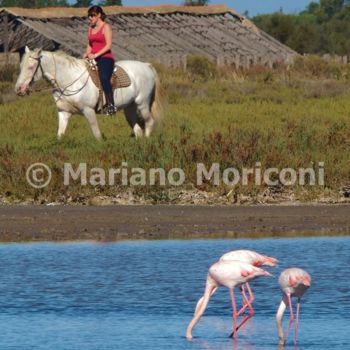 Fotografia intitolato "67.jpg" da Mariano Moriconi, Opera d'arte originale