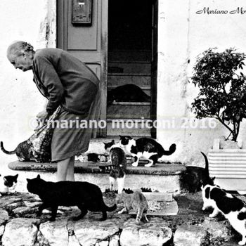 Fotografia intitolato "cats" da Mariano Moriconi, Opera d'arte originale