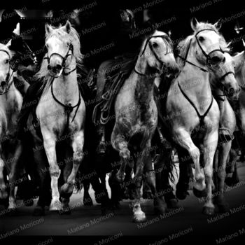 Fotografie getiteld "camargue cavalli" door Mariano Moriconi, Origineel Kunstwerk, Digitale fotografie