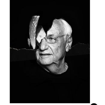 Arts numériques intitulée "Frank Gehry" par Dylan Morval, Œuvre d'art originale, Photo montage
