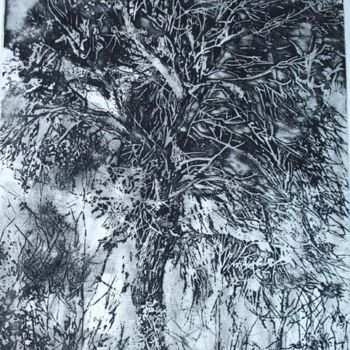 Drawing titled "LE PIN   Gravure" by Michel Moskovtchenko, Original Artwork, Other