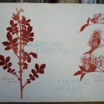 Drawing titled "AGRIMONIA EUPATORIA…" by Michel Moskovtchenko, Original Artwork, Other