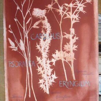 Disegno intitolato "PSORALEA  CARDU et…" da Michel Moskovtchenko, Opera d'arte originale, Altro