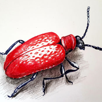 Dessin intitulée "Red beetle" par Tigran Movsisyan, Œuvre d'art originale, Craie