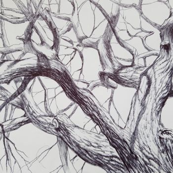 Tekening getiteld "Oak by pen" door Tigran Movsisyan, Origineel Kunstwerk, Balpen