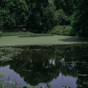 Fotografía titulada "озеро" por Alexander Kovalenko, Obra de arte original, Fotografía digital