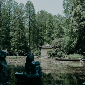 Фотография под названием "китайский парк" - Alexander Kovalenko, Подлинное произведение искусства, Цифровая фотография