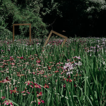 「поле цветов」というタイトルの写真撮影 Alexander Kovalenkoによって, オリジナルのアートワーク, デジタル