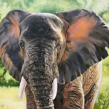Картина под названием "African elephant" - Kakajan Charyyev, Подлинное произведение искусства, Масло Установлен на Деревянна…