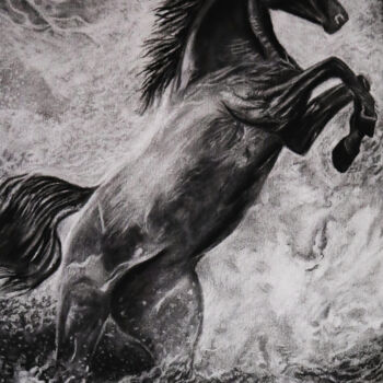 Рисунок под названием "STANDING WILD HORSE" - Mst Artroom, Подлинное произведение искусства, Карандаш